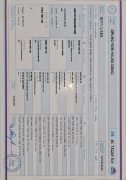 Rottweiler Males Adults Serbia full